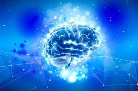 يتناول التحليل النوعي والهيكلي، ويتضمن تقييم كيفية توافق جميع عناصر التسويق مع الأهداف العامة للعلامة التجارية.